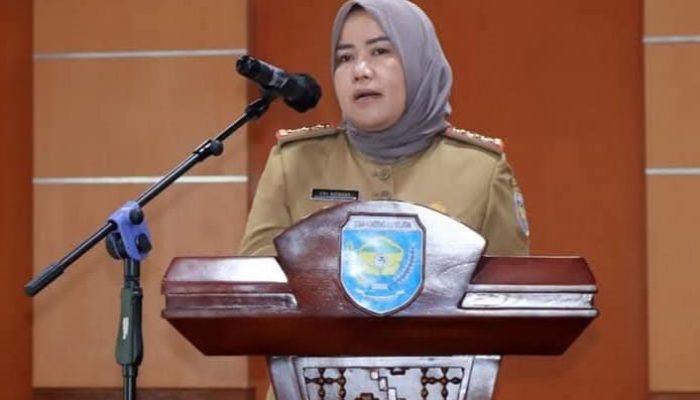 Pemkab OKU Selatan Buka Seleksi Jabatan Sekwan dan Dua Kepala Dinas