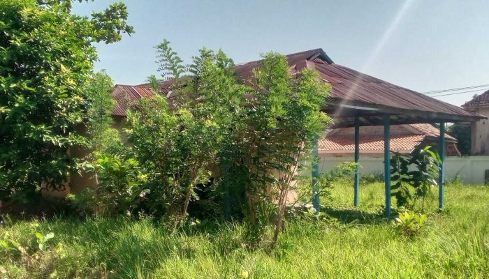 Kondisi Kantor Desa Jagaraga Memprihatinkan, Dipenuhi Semak Belukar