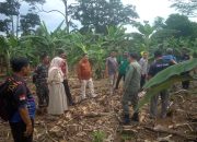 DLH, BKSDA, dan Aparat Desa Kolaborasi Tangani Kawanan Gajah Liar di Buana Pemaca