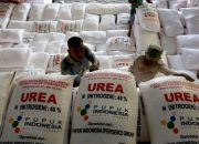 Pemkab OKU Selatan Tegaskan Tidak Ada Kenaikan Harga Pupuk Subsidi