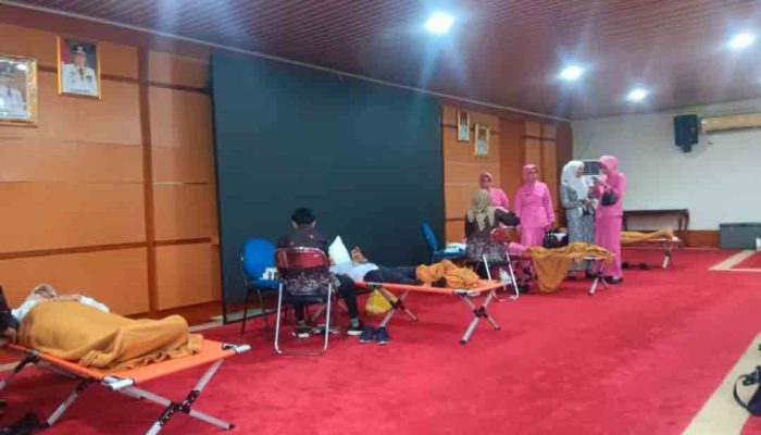 Sambut HUT ke-22, Pemkab OKU Selatan Gelar Donor Darah
