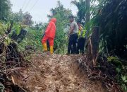 Bencana Longsor Kembali Terjadi di OKU Selatan, Akses Jalan di Sungai Are Terdampak