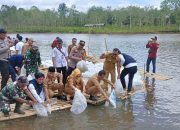 Pemkab OKU Selatan Lakukan Restocking Ikan di Perairan Kisam Tinggi