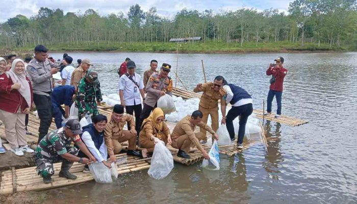 Pemkab OKU Selatan Lakukan Restocking Ikan di Perairan Kisam Tinggi