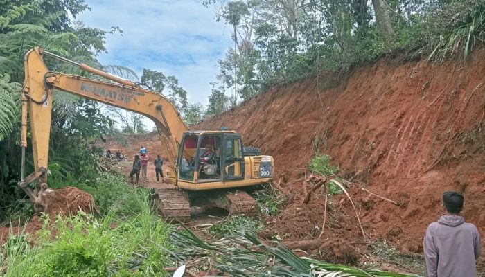 Pemkab OKU Selatan Lebarkan Jalan Liku Jago Pulau Beringin, Tingkatkan Akses dan Keselamatan Warga
