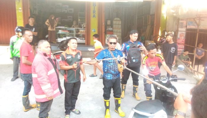 Tim Damkar Jinakkan Ular Berbisa yang Bersarang di Motor Warga Muaradua