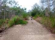 Dulu Jadi Andalan, Kini Terlupakan: Jalan Mehanggin–Datar Memprihatinkan