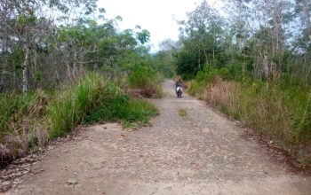 Dulu Jadi Andalan, Kini Terlupakan: Jalan Mehanggin–Datar Memprihatinkan