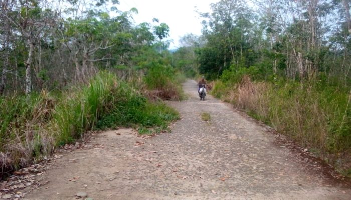 Dulu Jadi Andalan, Kini Terlupakan: Jalan Mehanggin–Datar Memprihatinkan