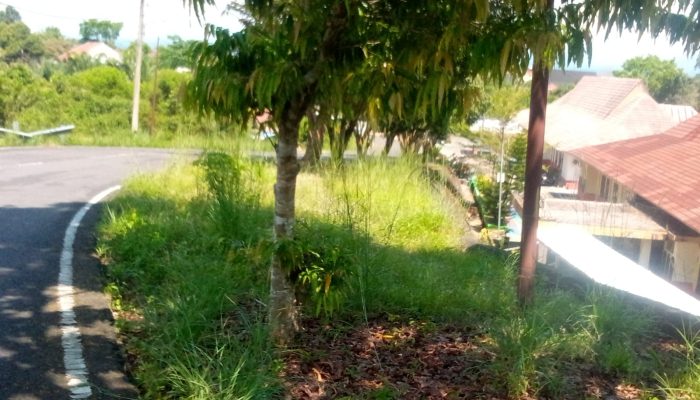 Rumput Liar Makin Tak Terurus, Lingkungan Kantor Pemkab OKU Selatan Terlihat Serut